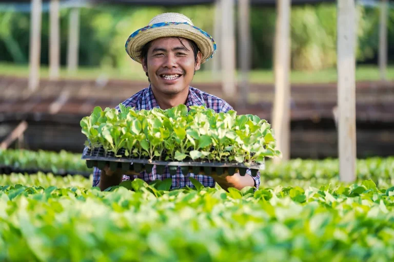 Berkebun Urban Hidroponik Makin Digemari